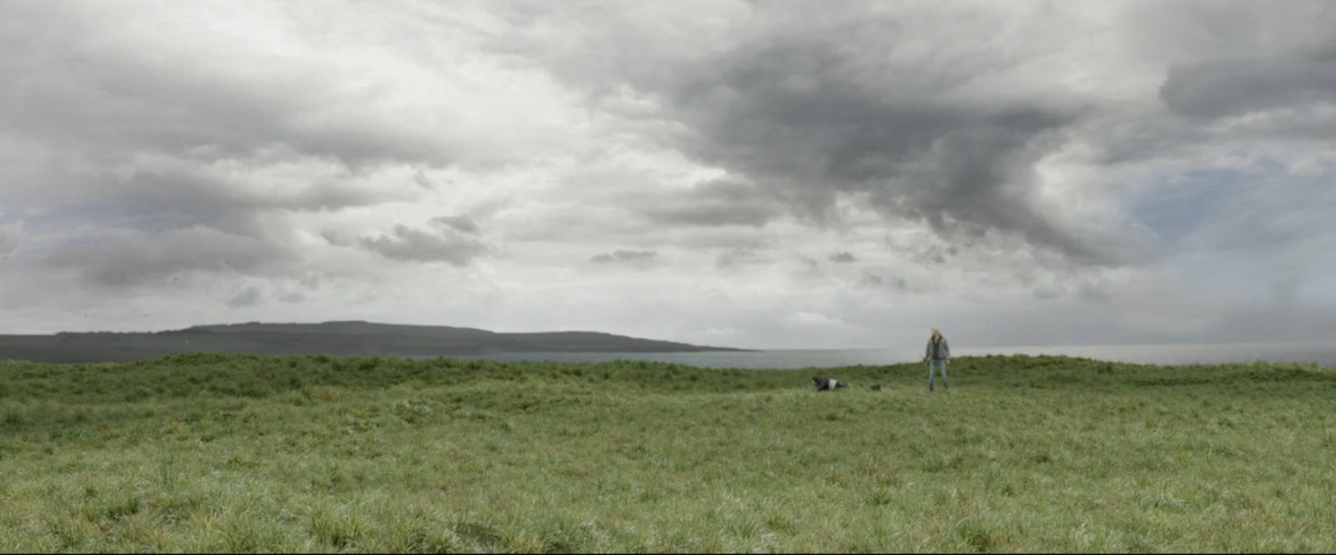 A verdant field under an overcast sky.