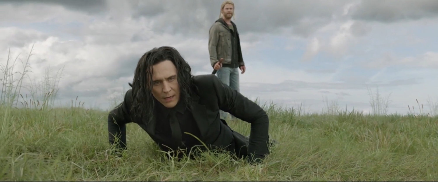 Loki and Thor in a meadow.