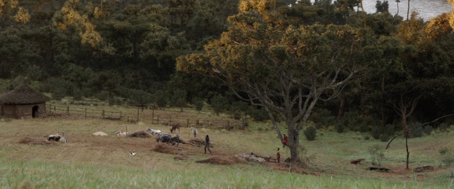 A verdant tree lined hill with small grass hut.