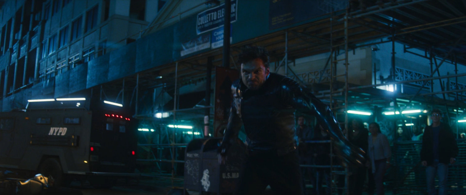 Bucky on a New York street.