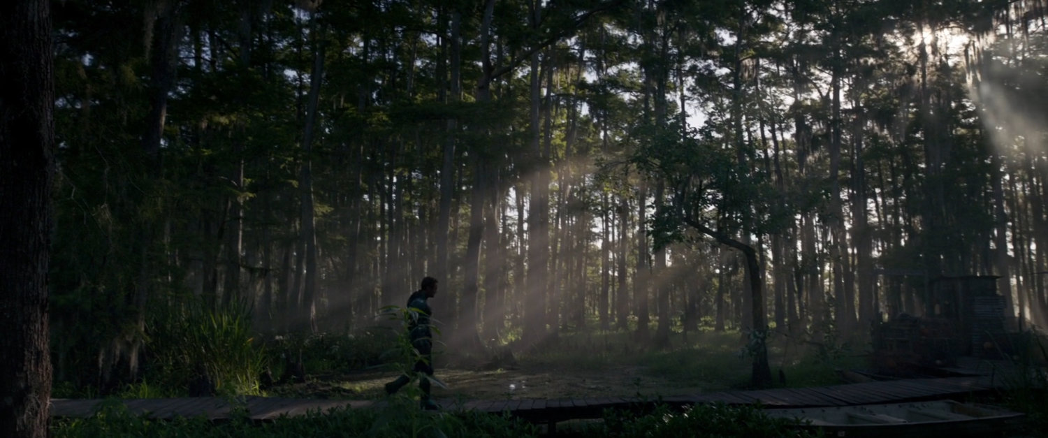 Exterior of woods near Maria Rambeau's house.