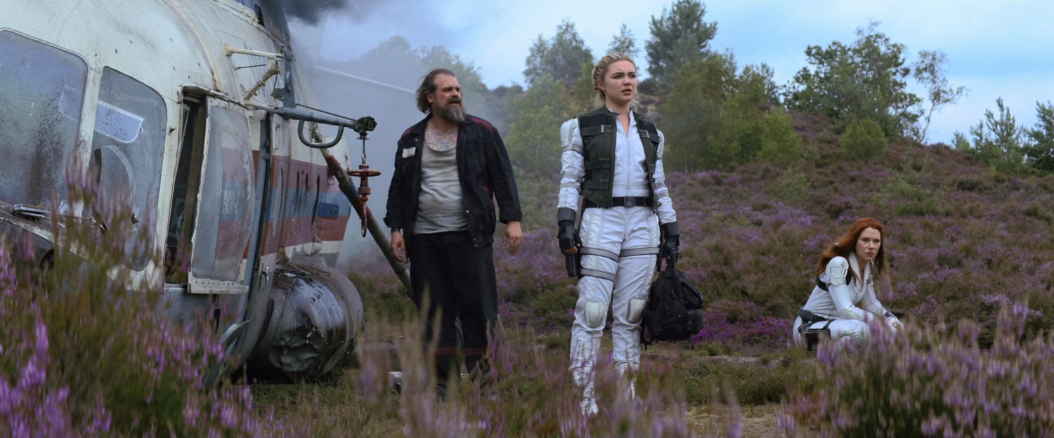 Dimitri, Yelena, and Natasha in a meadow.
