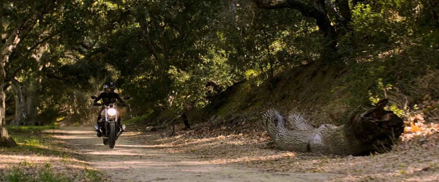 A motorcycle drives along a dirt road in a wooded area.