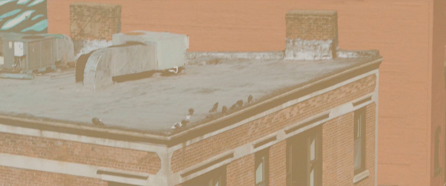 Ms Marvel end credit screen: Rooftop with Pigeons