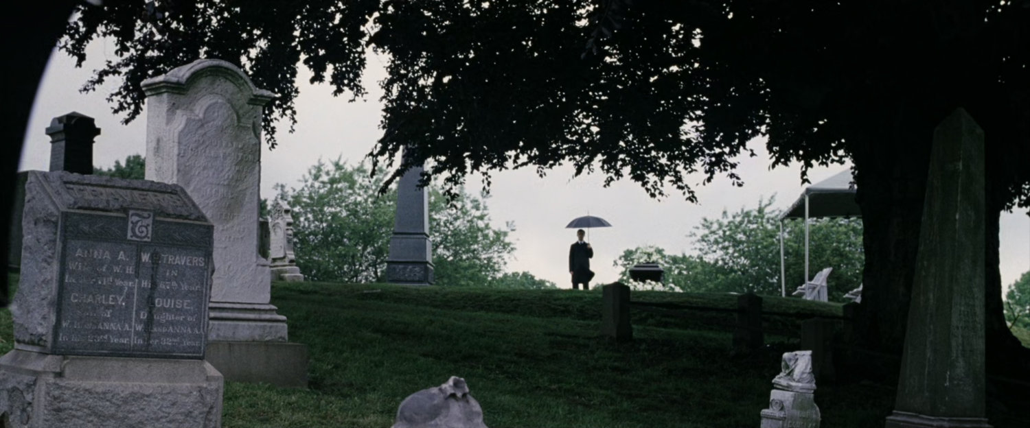 Lone person standing under a tree at cemetery.