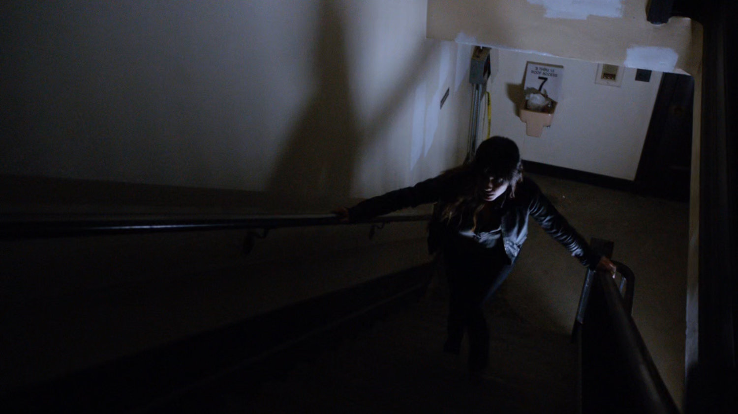 Skye runs up stairway in an old Milwaukee building.