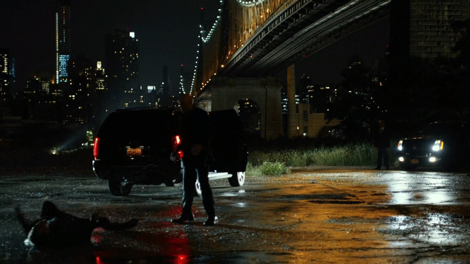 Fisk beats Anatoly by Queensboro Bridge.