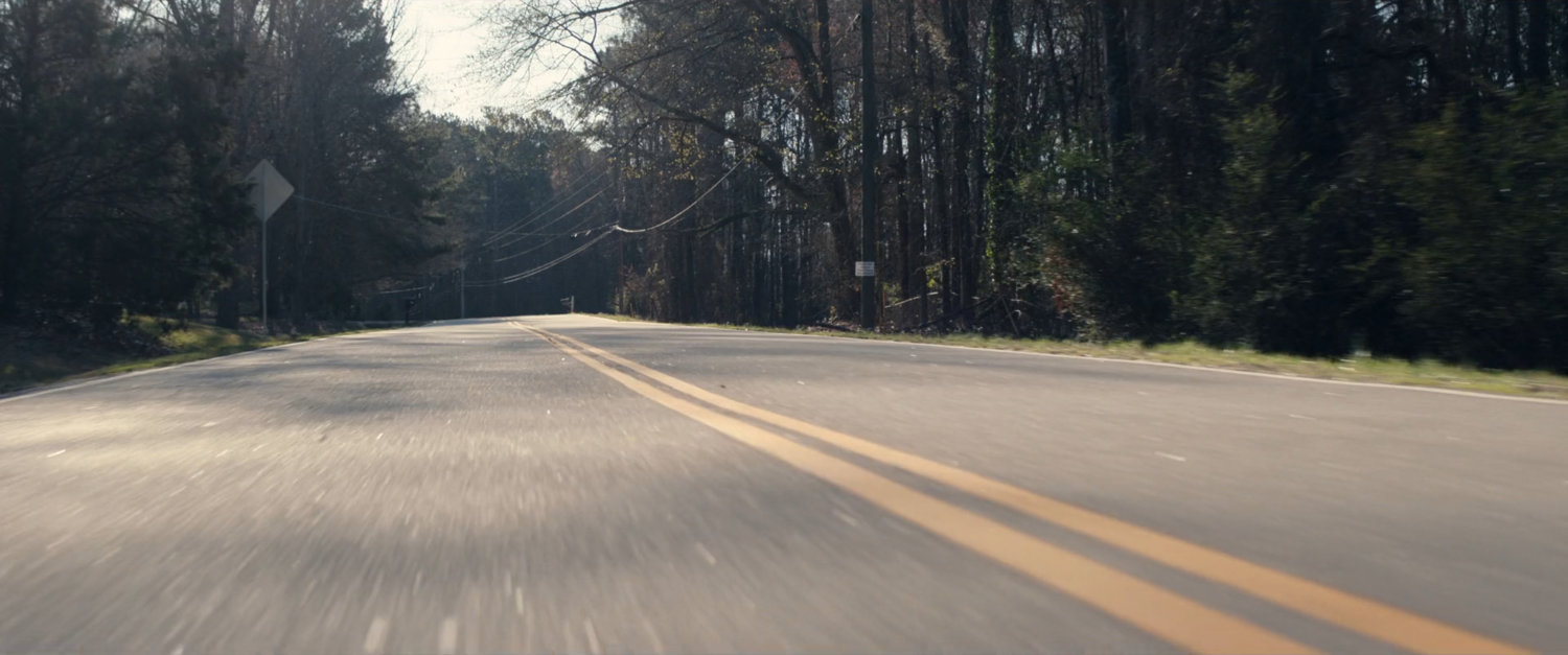 Low angle of treelined road.
