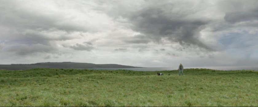 A verdant field under an overcast sky.