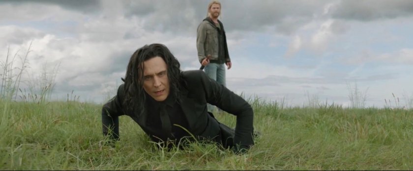 Loki and Thor in a meadow.