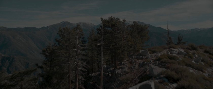 Pine tress on a mountaintop.