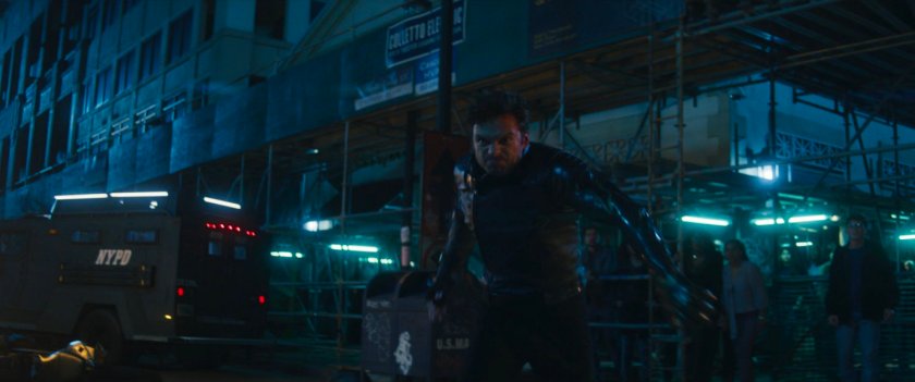 Bucky on a New York street.