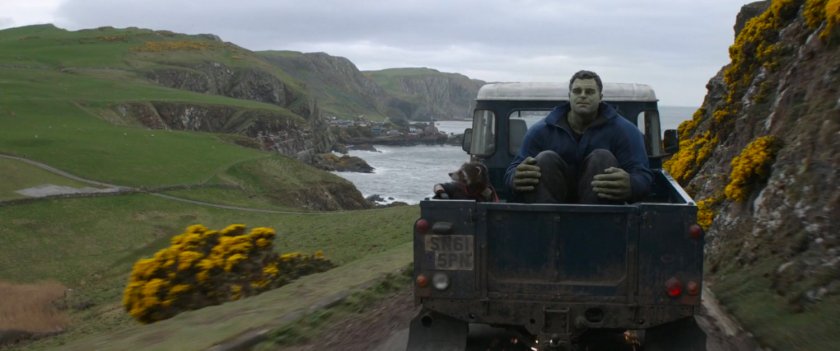 Rocket and Smart Hulk sitting in the back of a pickup truck driving down hill by the coast.