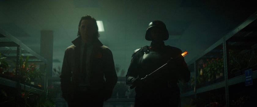 Loki and Hunter B-15 inside Roxxcart store.