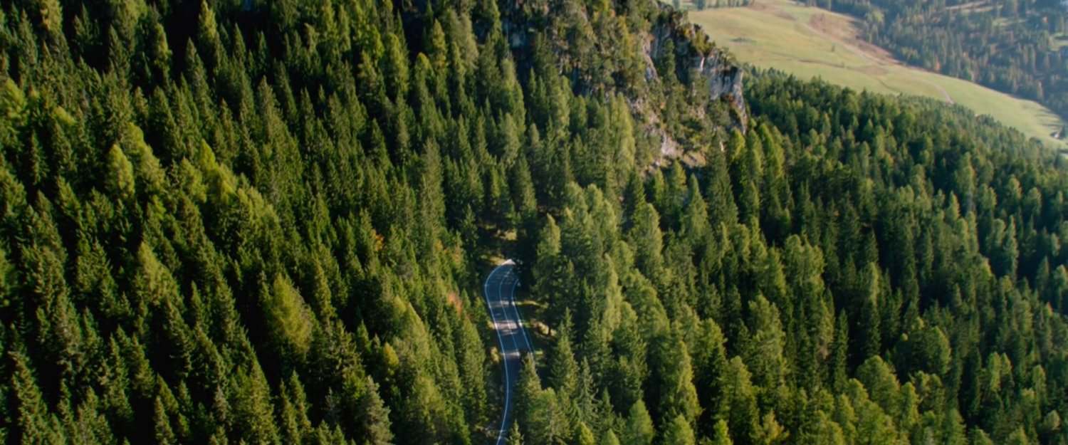 Aerial view of winding road through pine forest.