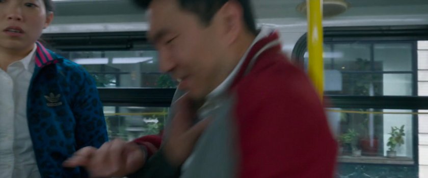 Shaun being grabbed by a man on a San Francisco metro bus.