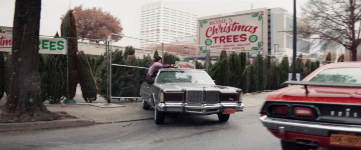 A car drives backwards into a Christmas tree lot.