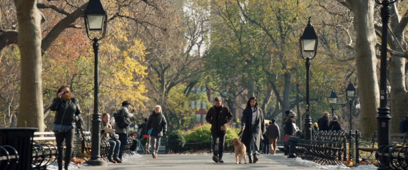Clint and Kate walk a dog in Washington Square Park.