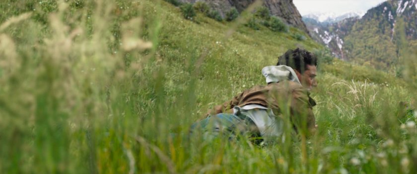 Steven in a German meadow.