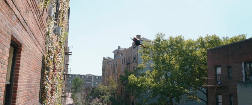 Spider-Man swings towards Queens apartment building.