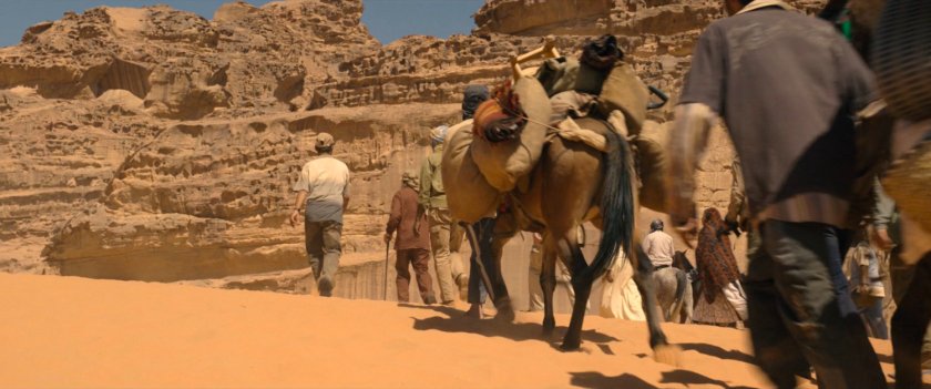 Caravan in the Egyptian desert.