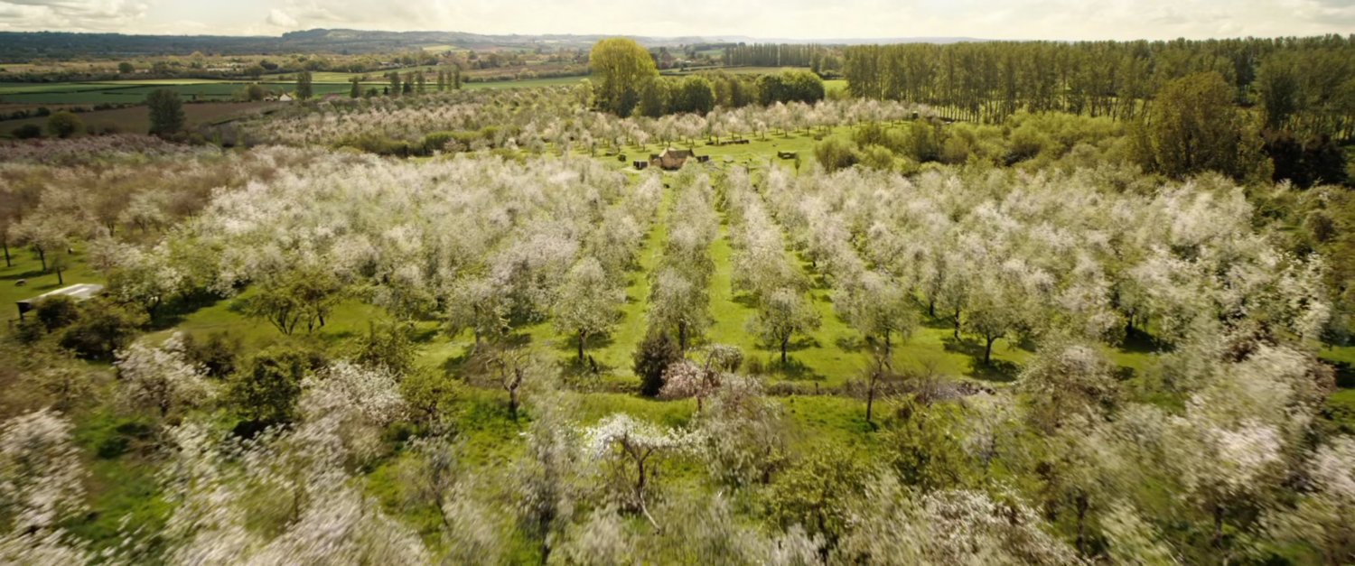 Wanda’s Apple Orchard | MCU Location Scout