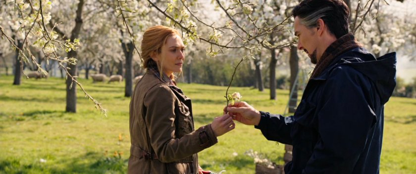 Stephen Strange and Wanda Maximoff in an apple orchard.