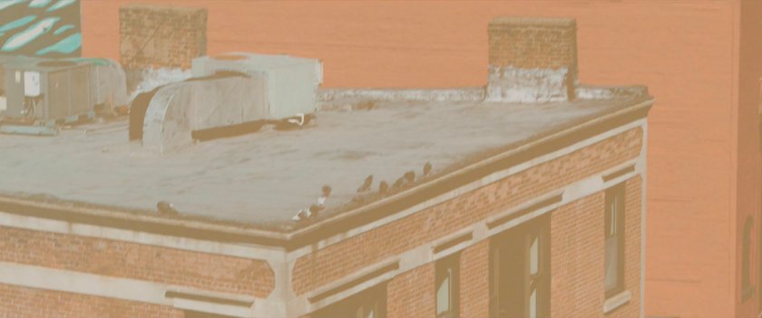 Ms Marvel end credit screen: Rooftop with Pigeons