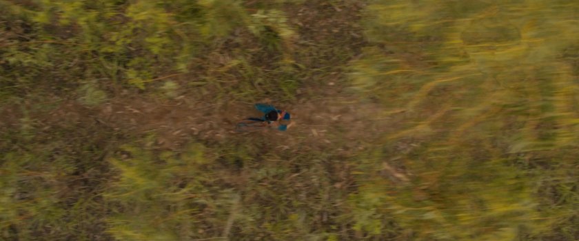 High angle shot of Aisha running through bamboo forest.