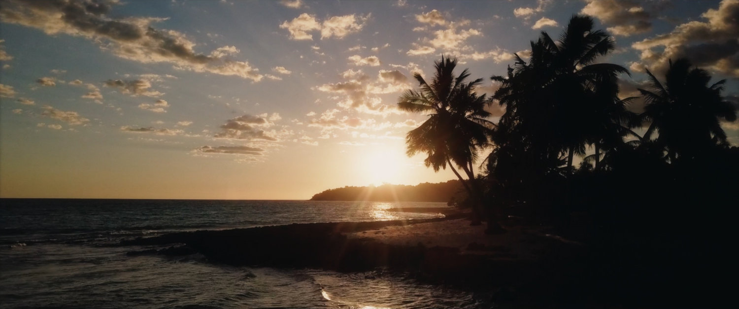 Sun setting over the coastline with palm trees.