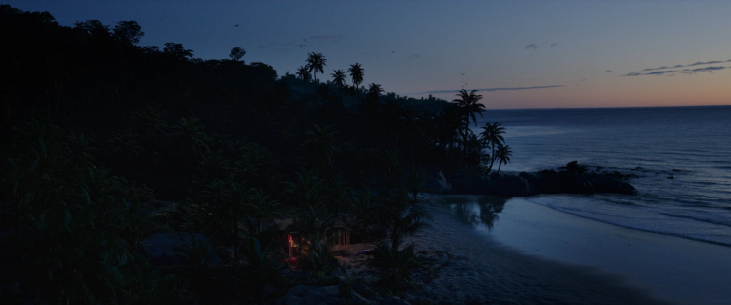 Twilight over a beach with palm trees.