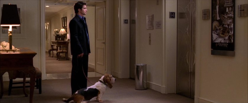 Man with dog wait for elevator in hotel lobby.