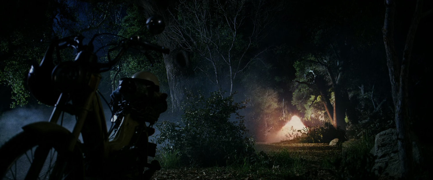 A meteorite lands in the woods behind a park.