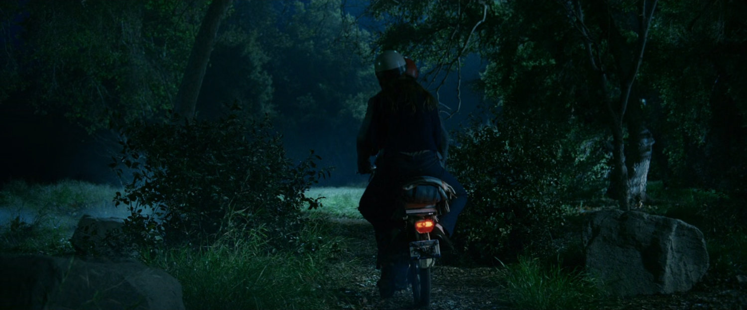 Moped driving through a park at night.