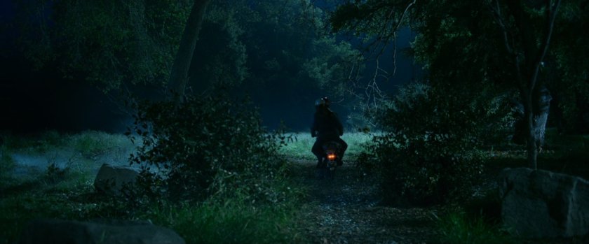 Moped driving through a park at night.