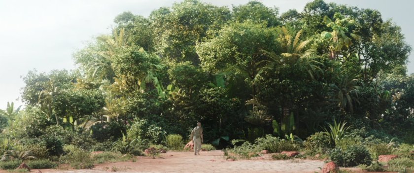 Gorr enters a lush tropical oasis on his planet.