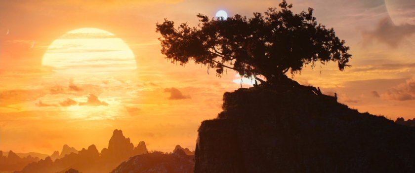 A tree on a hill on Indigarr as the three suns set.