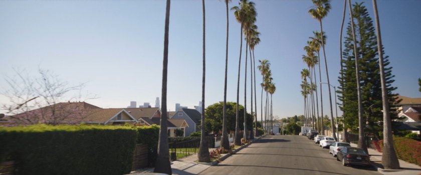 A palm lined street in Los Angeles.