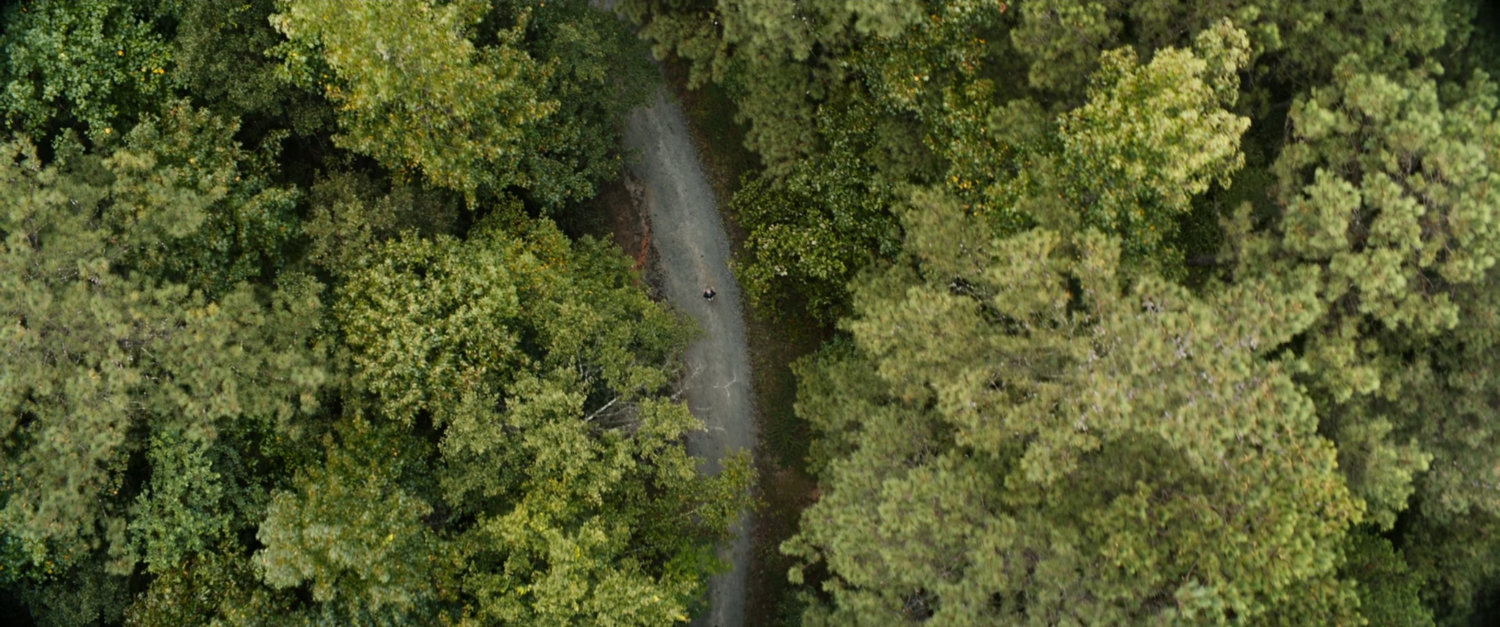 Aerial view of road in woods.