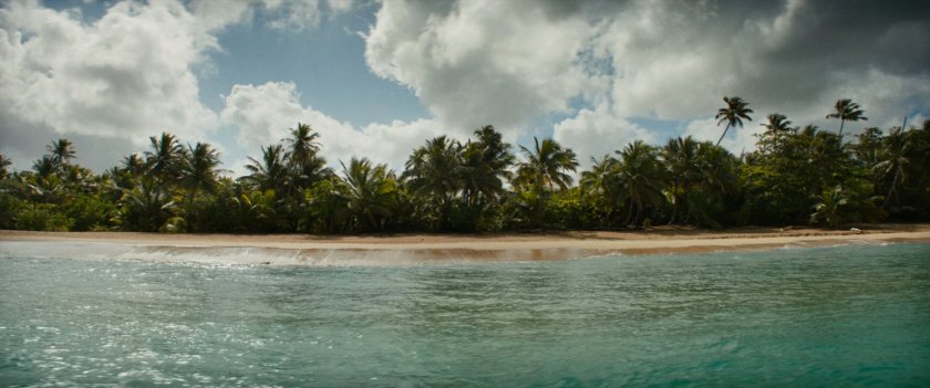 Palm lined beach as seen from ocean.