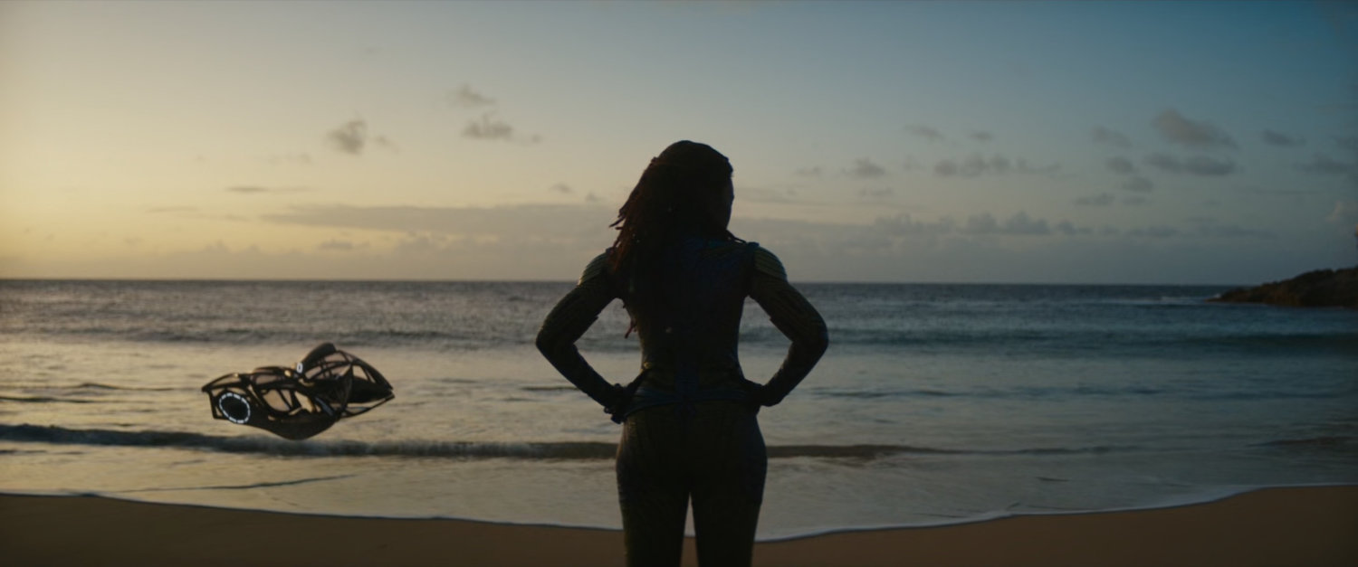 Nakia silhouetted, looking at ocean.