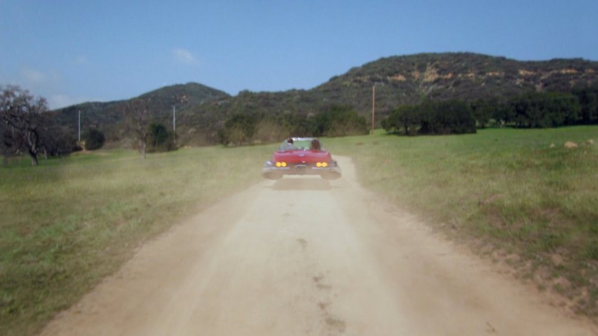 Lola flying away on Peterson farm road.