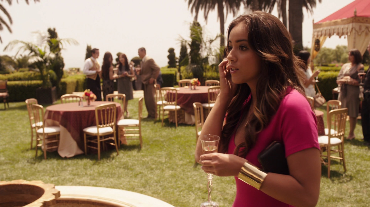 Skye on phone at Ian Quinn's garden party.