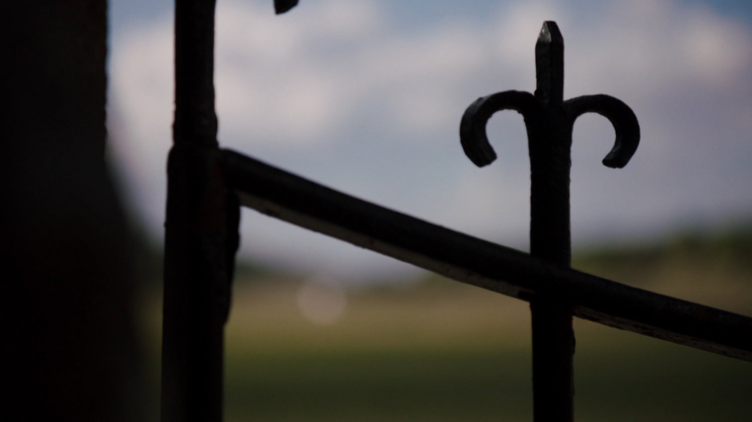 Wrought iron decor on fence with out of focus background.