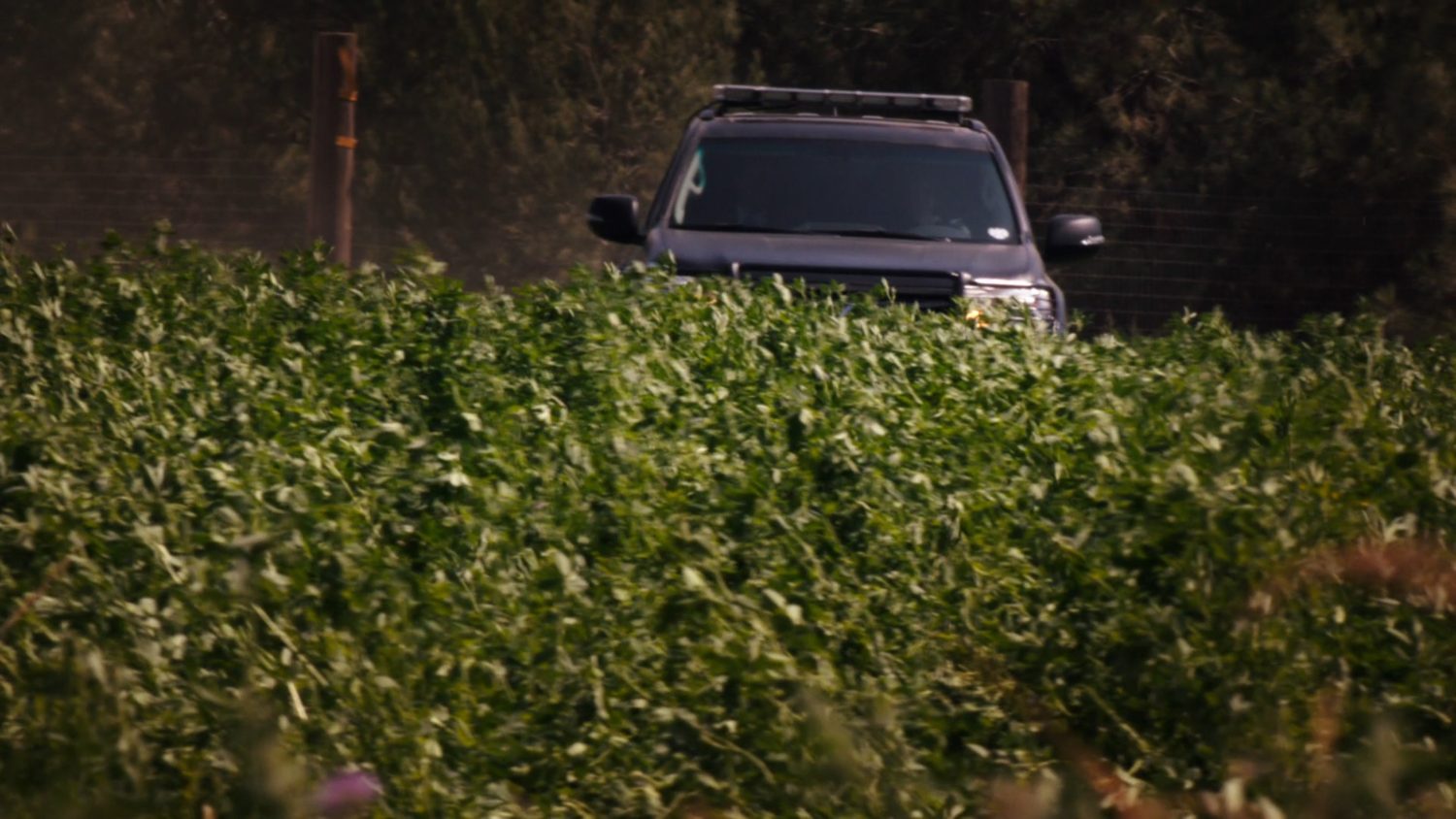 A SHIELD SUV drives through a small field.