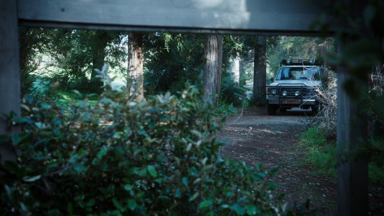 A jeep driving through a forest.