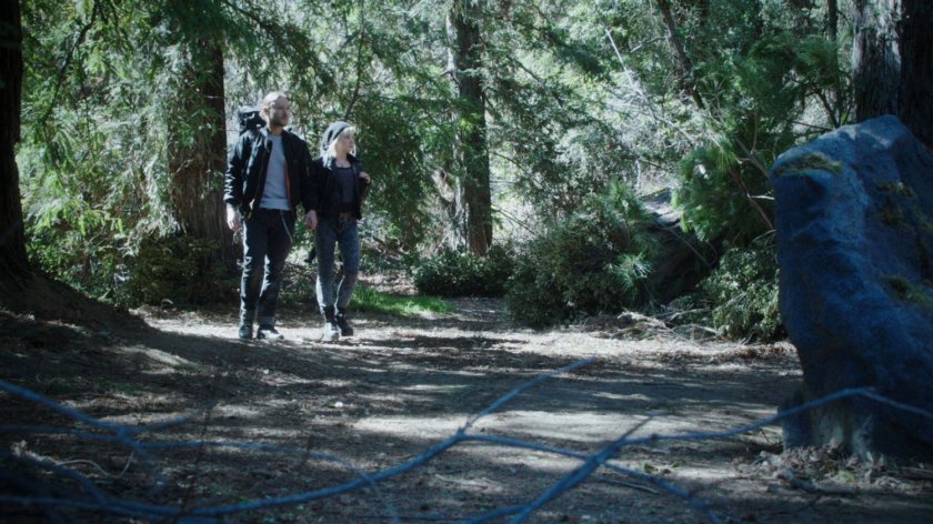 Two hikers in a pine forest