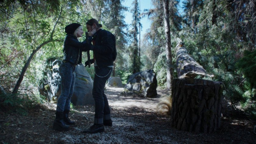 Two hikers in a pine forest by downed tree.