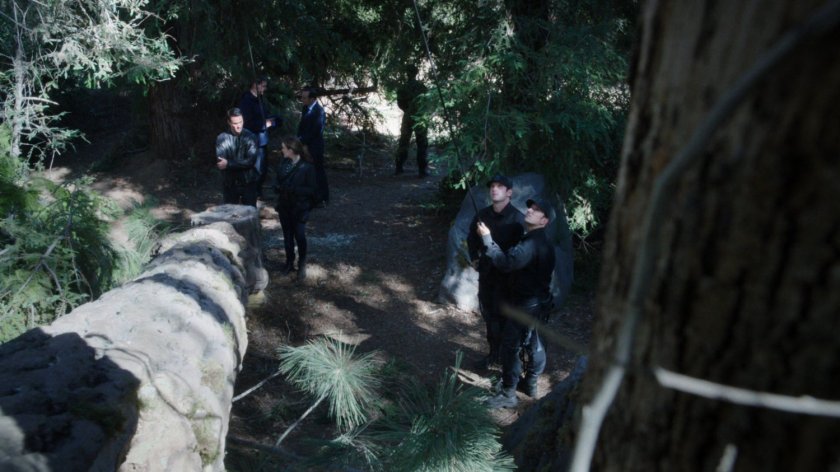 SHIELD agents by downed pine tree.