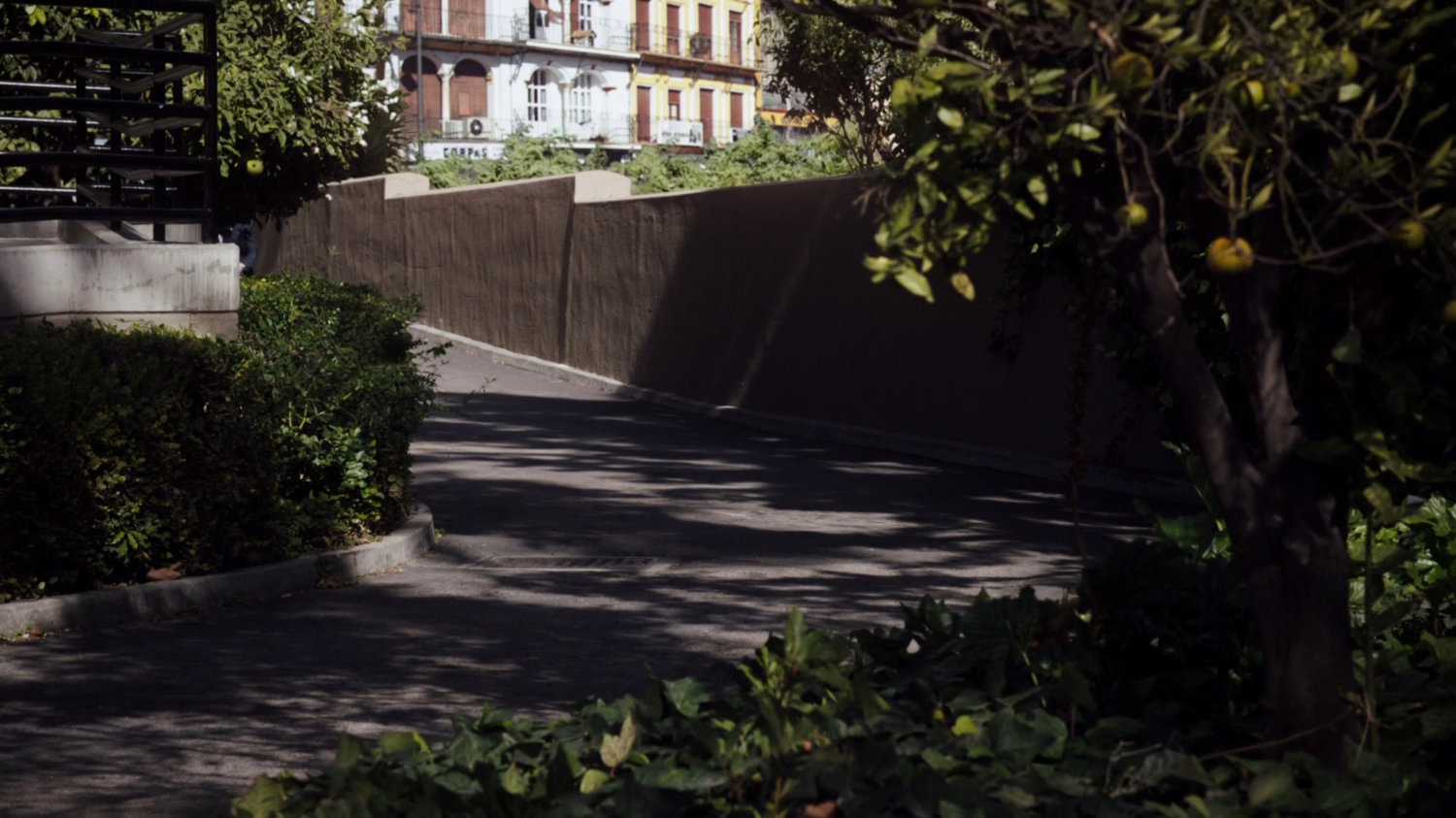 The side of the University building driveway.